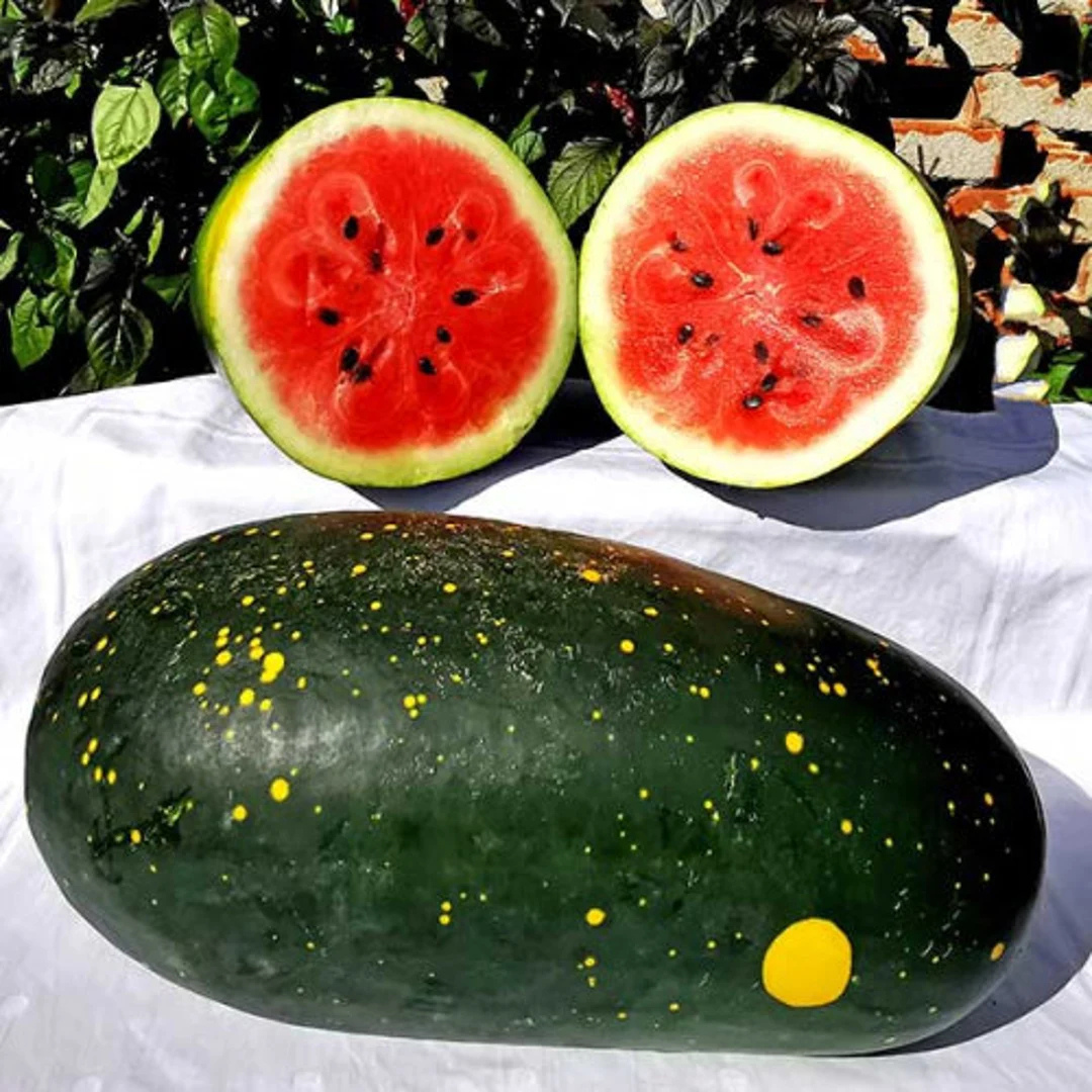 Moon and Stars watermelon